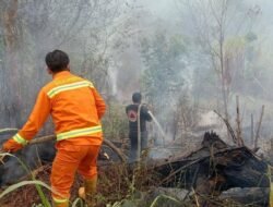 Karhutla Berulang, Status Bencana Nasional Tak Kunjung Datang, Komitmen Pemerintah Dianggap Lemah