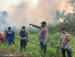 Pembukaan Lahan Sawit Picu Karhutla, 69 Persen Terjadi di Wilayah Konsesi